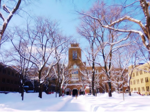 1591927467996346.png image.png